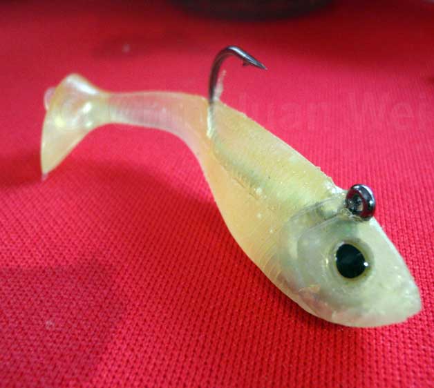 Swimbait Lures – River2Sea Live Eye Bottom Walker Shad