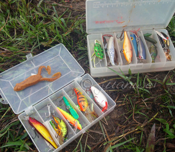 lure boxes