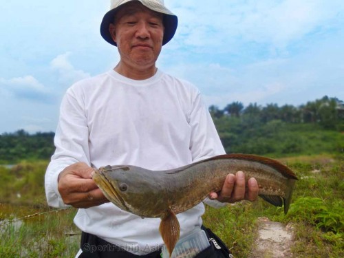 Hubert and 1.42kg haruan Hubert and 1.42kg haruan
