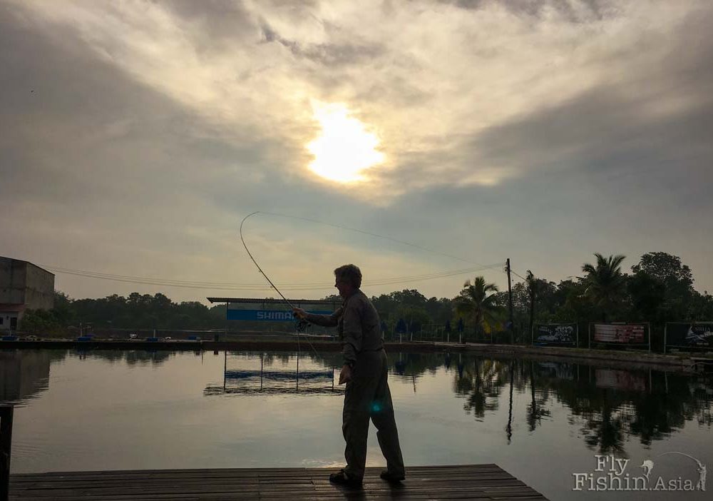 Fly Casting and Avoiding Wind Knots