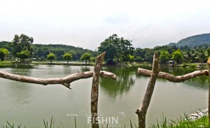 fish-valley Fish Valley fishing pond