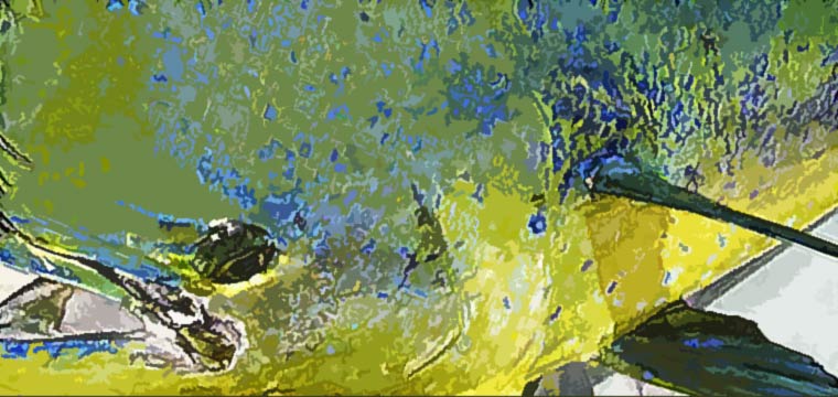 Mahi Mahi Fishing Lures