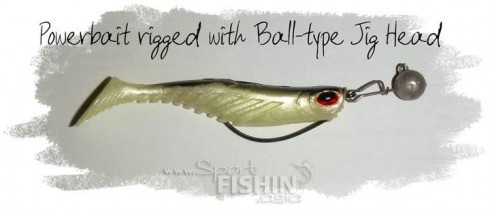 powerbait_texasrig_jighead