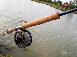The-wt-8-fly-set-up-used