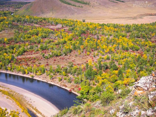autumn-fall-scenery-fly-fishing-mongolia