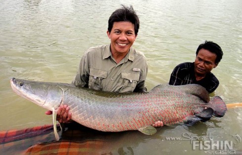 pirarucu_arapaima-gigas_fishing