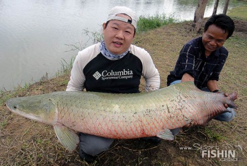 pirarucu_arapaima-gigas_fishing_-(5)