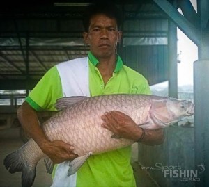 16kg-35lb-black-carp