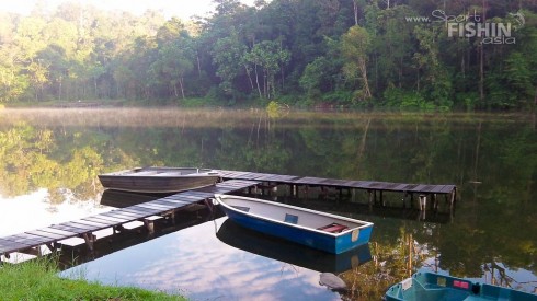 boats-at-eak