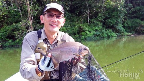 pacu-fly-fishing-eak-malaysia