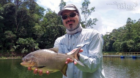 stefan-pacu-fishing-malaysia