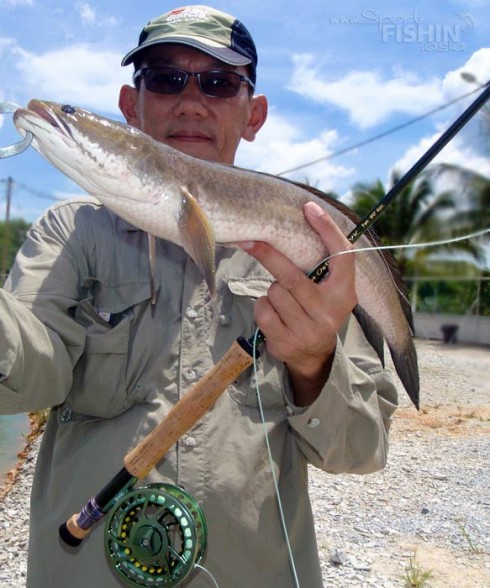 fly-fishing-snakehead-jurassic-game-fishing-pond6