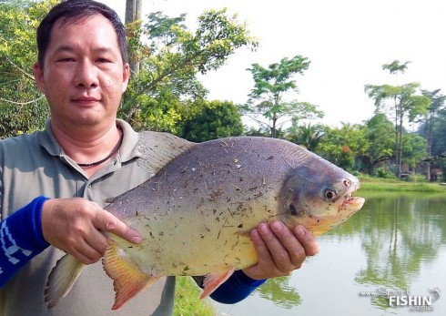 pacu-fishing-sukida-resort-jimmy