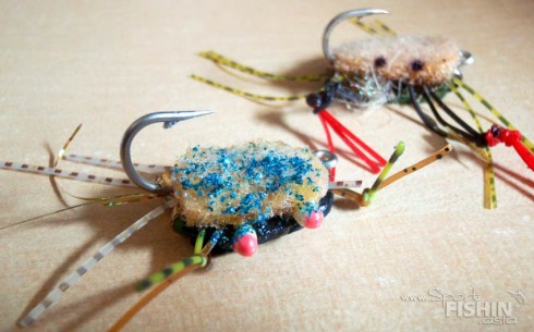 Irhamy's-crab-fly