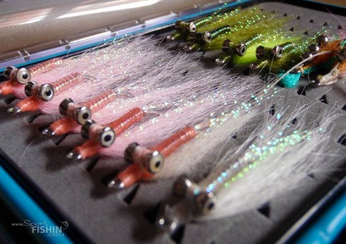 Some-of-the-flies-used-for-Bonefishing