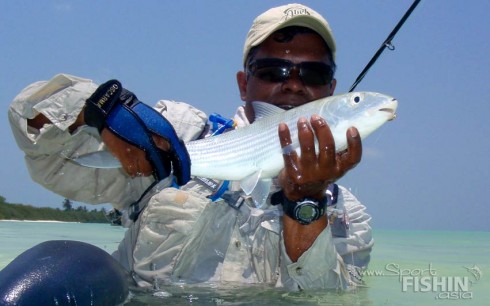 The-chrome-finish-of-the-Bonefish-makes-it-a-challenge-to-photograph