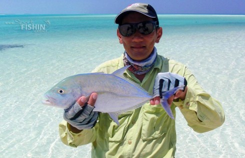 Which-is-more-beautiful---the-Bluefin-Trevally-or-the-scenery