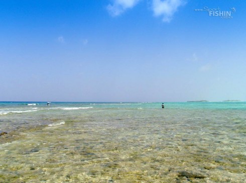 You-need-to-be-a-good-caster-to-fly-fish-at-the-surf