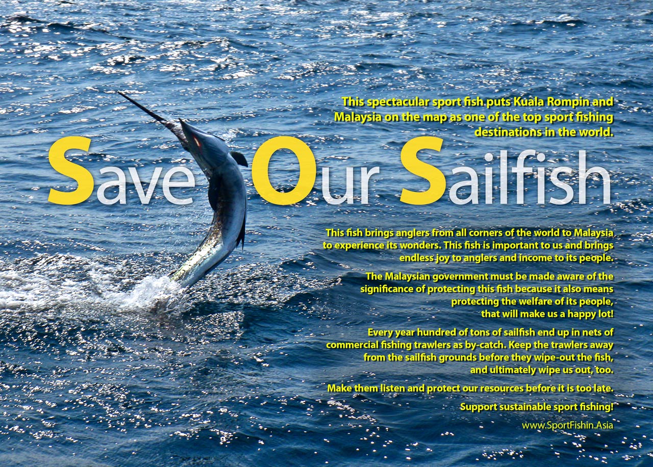 Save Our Sailfish