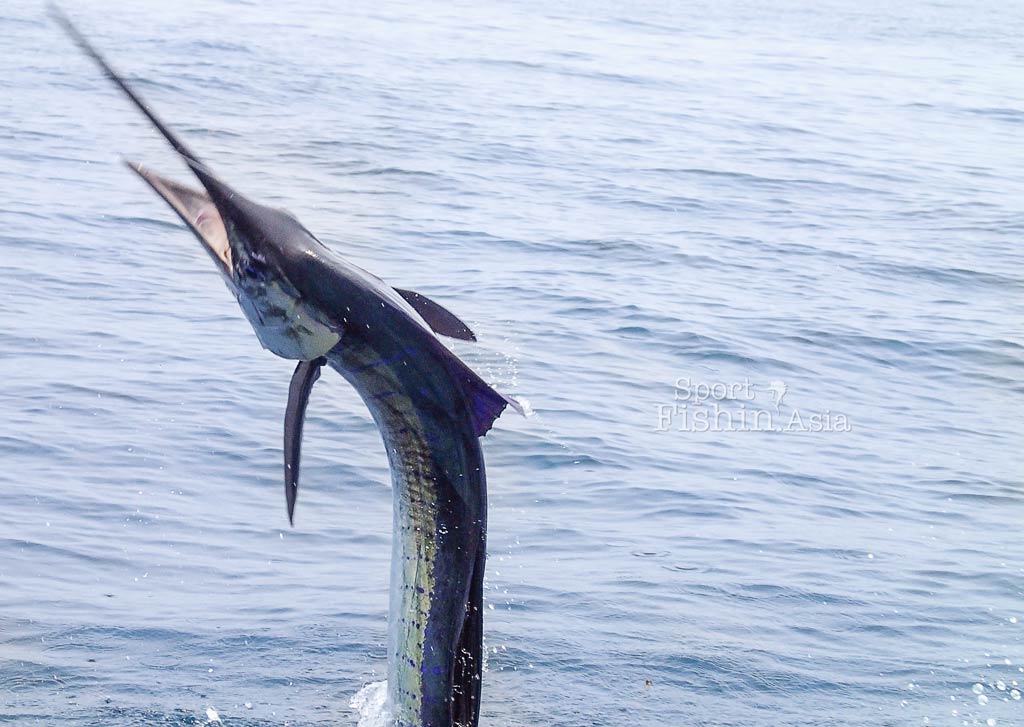 2013 fishing season begins in ernest