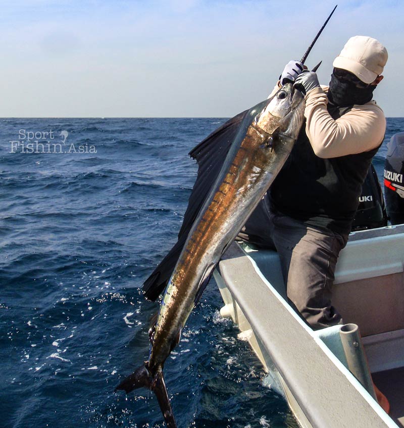 Sailfish fishing at Kuala Rompin – What is a typical day like?