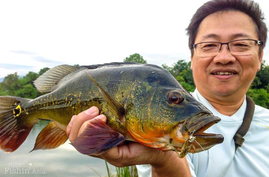 fishing planet unique peacock bass