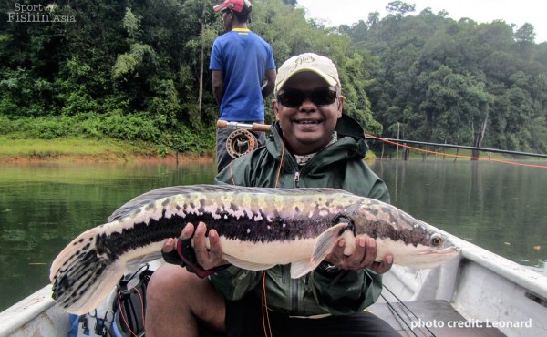 David with a nice giant snakehead on fly
