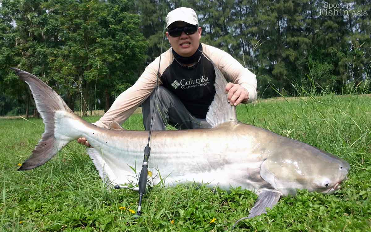 60kg chao phraya catfish at IT Monster Lake Thailand