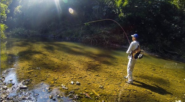 Wonderful place to be at. Yusaku-San onto a mahseer.