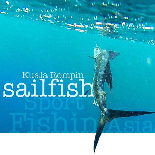 Kuala Rompin Sailfish Fishing Charter