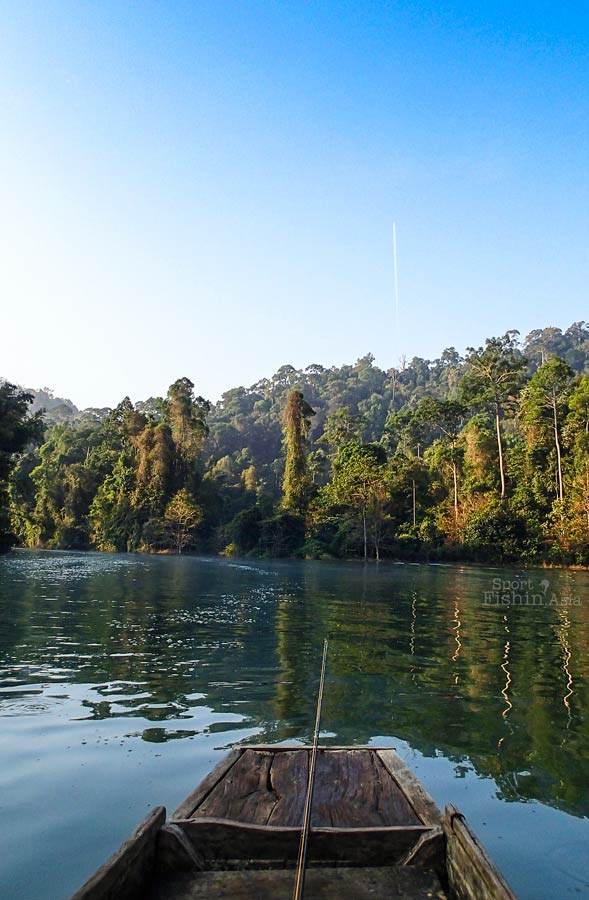 Absorbing the all natural beautiful ambience with a sprinkle of a commercial jet over the jungle canopy. Can you spot it?