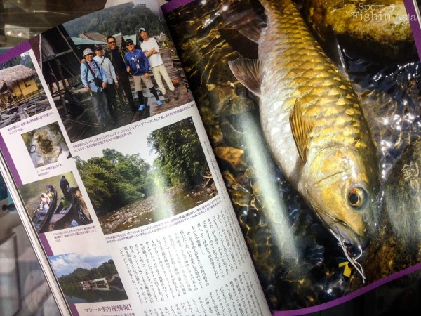 Nice fat thai mahseer
