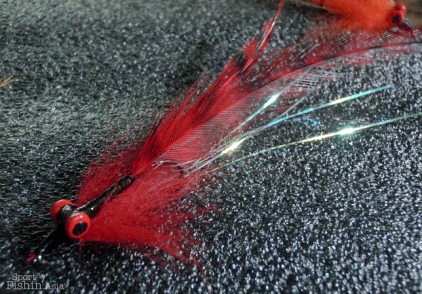 Red is the colour of the toman fry