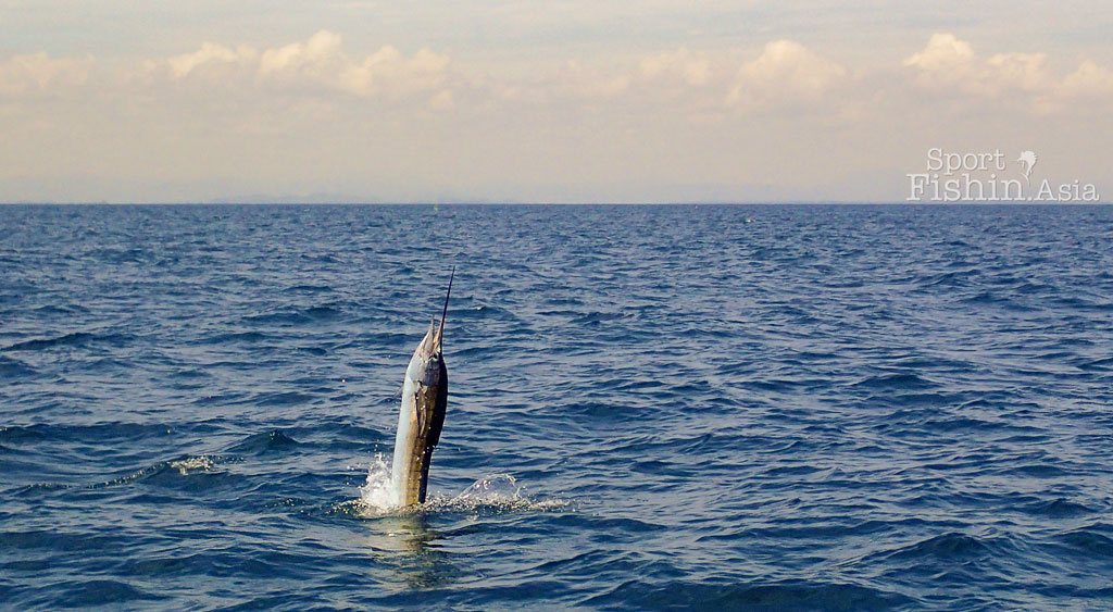 Small Bait Big Fish