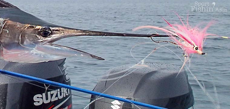 Fly Fishing for Sailfish