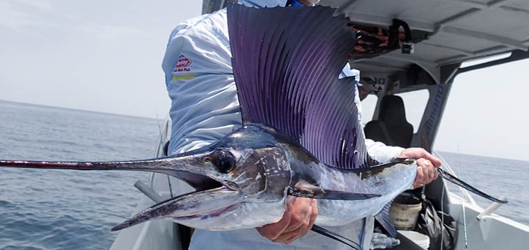 Birthday Bash Billfish
