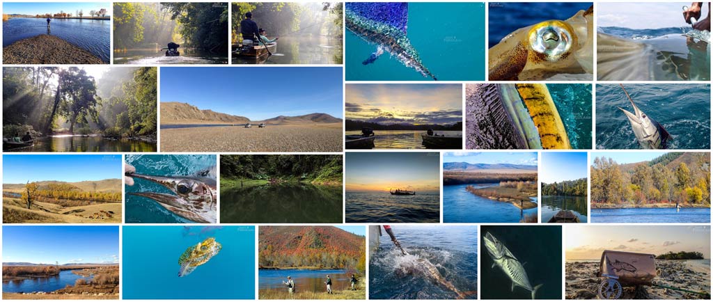 Sport Fishing Gallery