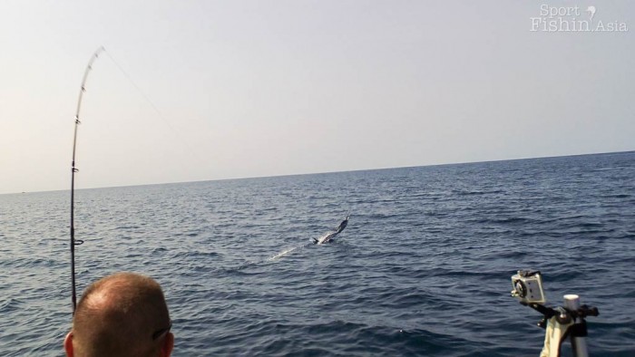 Check-out the line cutting through the water