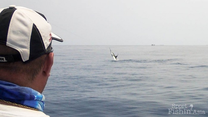 Sailfish streaking across the surface
