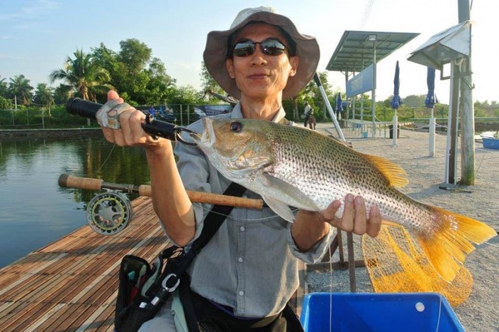 Golden snapper
