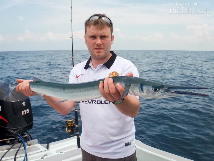 Big garfish