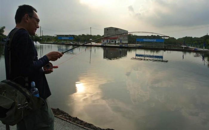 You can find fish right at the edges of the pond at dawn