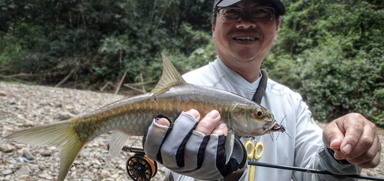 A Day on The River Fishing for Thai Mahseer – preview video