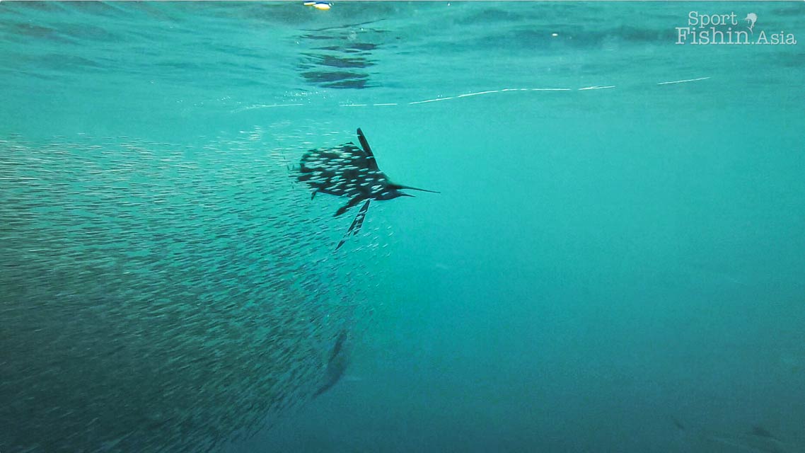 What Happens Under The Surface