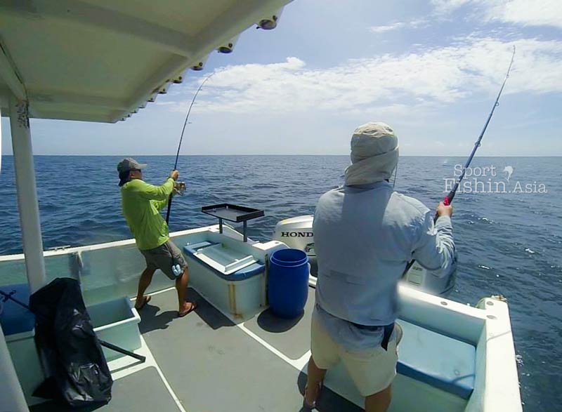 rompin-sailfish-charter-boats-transom