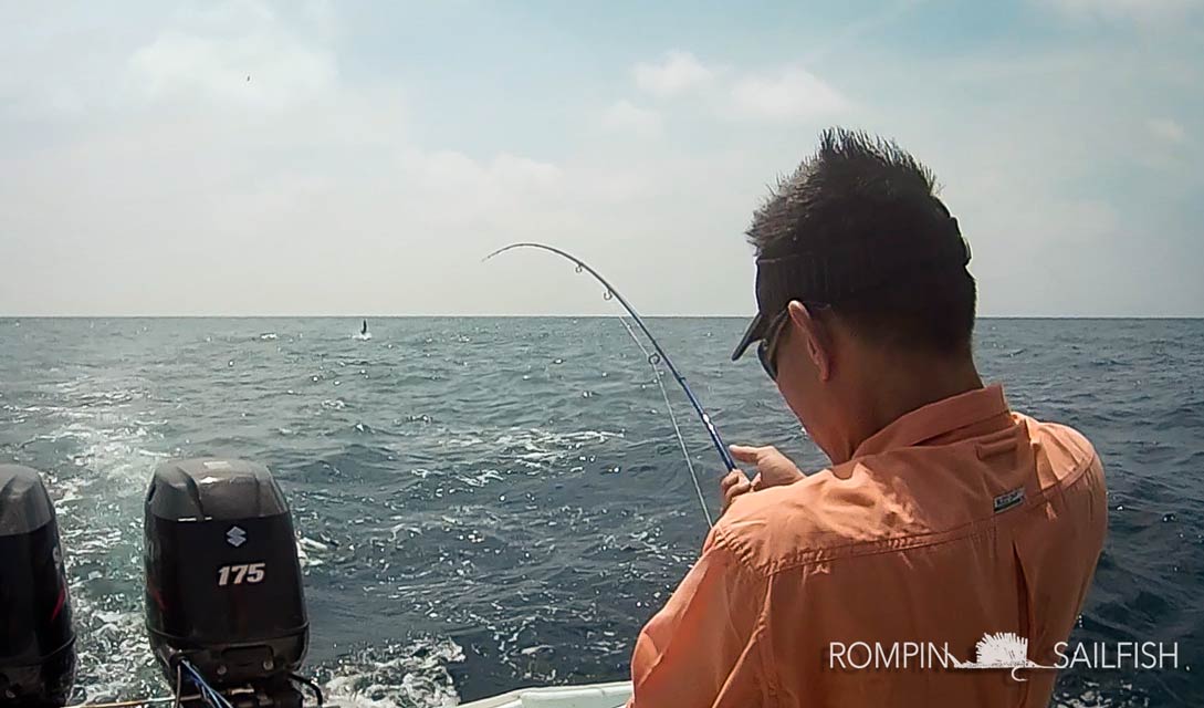 Sailfish On Fly – Bend It Like Ben