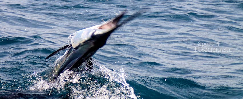 Father, daughter and Rompin Sailfish