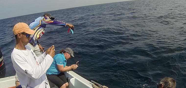 Fish Paparazzi