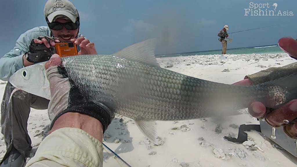 Sport Fishing Asia Compilation Video 1
