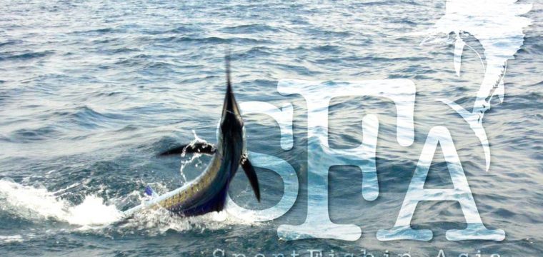 Recent Guests and Their Sailfish Catch